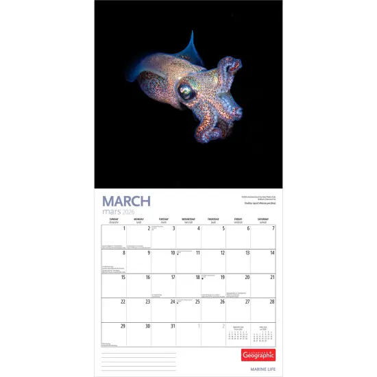Canadian Geographic Marine Life OFFICIAL | 2026 12 x 24 Inch (Hanging) Monthly Square Wall Calendar {3}