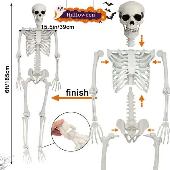 5.6ft Halloween Human Poseable Skull Skeleton {3}