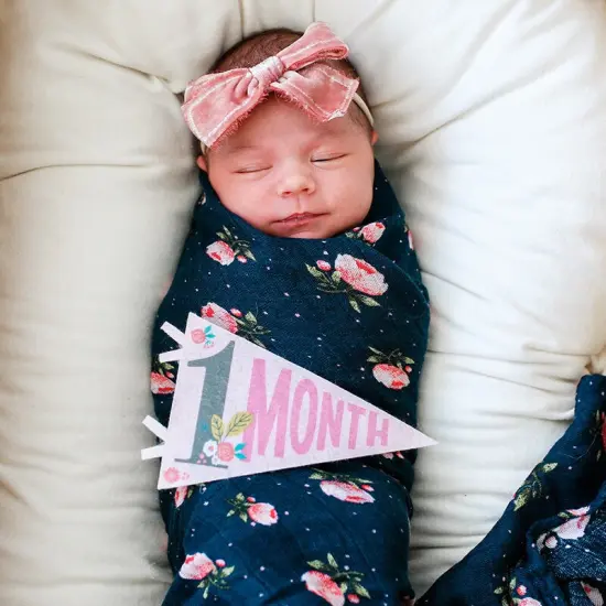 LITTLE ARTIST PETIT MILESTONE PENNANTS {6}