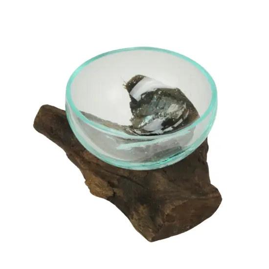 Glass and Teak Driftwood Bowl – 3.25” High Decorative Succulent Centerpiece {4}