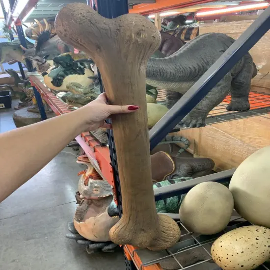 Large Dinosaur Bone Life Size Statue {5}