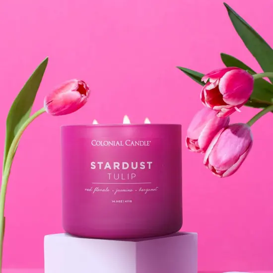 Stardust Tulip Scented Jar Candle, Pop of Color Collection, 3 Wick, 14.5 oz - Up to 60 Hours Burn {3}