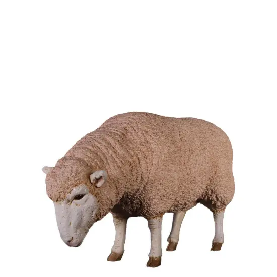 Merino Ewe Sheep Head Down Life Size Statue {1}