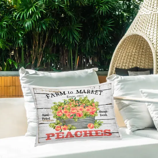 Farm To Market Peaches Outdoor Printed Pillow Design by Creatif Belle, 14 x 7 x 20 {2}