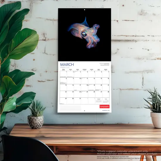 Canadian Geographic Marine Life OFFICIAL | 2026 12 x 24 Inch (Hanging) Monthly Square Wall Calendar {5}