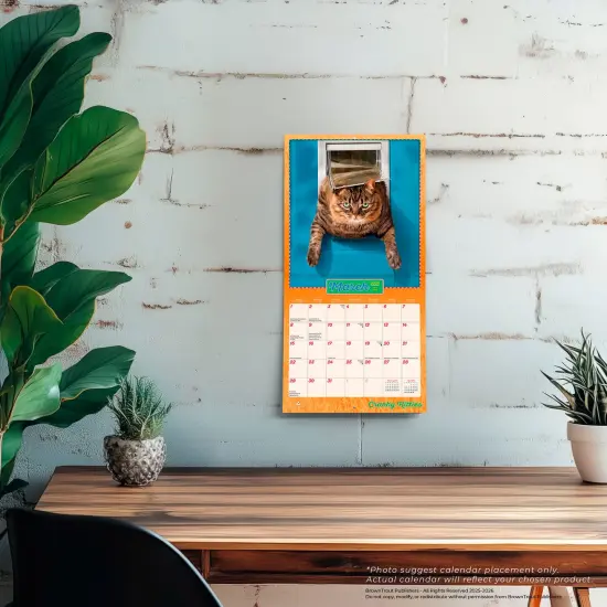 Avanti Cranky Kitties OFFICIAL | 2026 7 x 14 Inch (Hanging) Monthly Mini Wall Calendar {5}