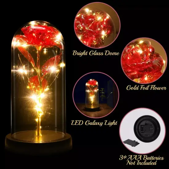 Mother's Day Gift for Women Mom Wife - Rose Flower Gift for Women, Birthday Gift {4}