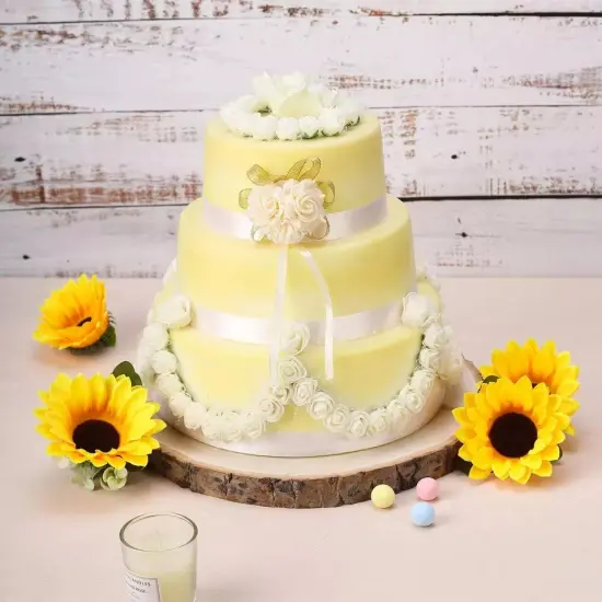 6 pcs 11-15" Natural Round Poplar Wood Slices Wedding Centerpieces Decorations {3}