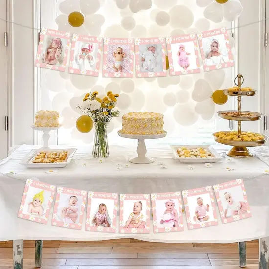 Daisy 1st Birthday Photo Banner for Girls, Pink Groovy 1-12 Monthly Photo Banner, Daisy Boho Hippie Baby Girl First Bday Party Supplies {3}