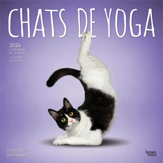 Chats de Yoga OFFICIEL | 2026 12 x 24 Inch (Hanging) Monthly Square Wall Calendar | French Language {1}