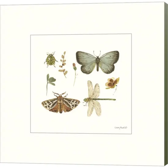 Green Fields XI by Lisa Audit 12" x 12" Canvas Wall Art {1}