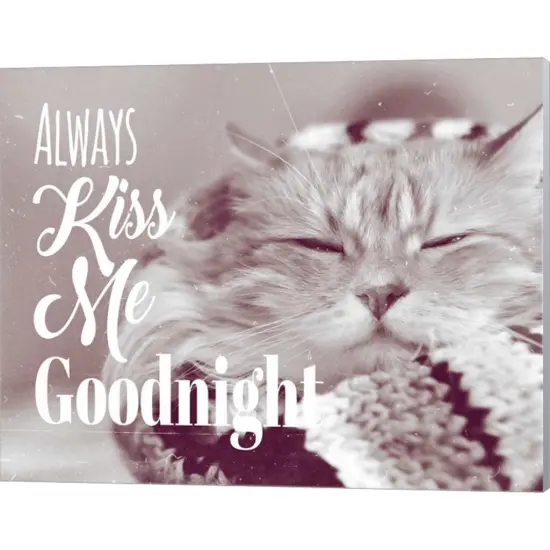 Always Kiss Me Goodnight Sleepy Cat by Quote Master 20" x 16" Canvas Wall Art {1}
