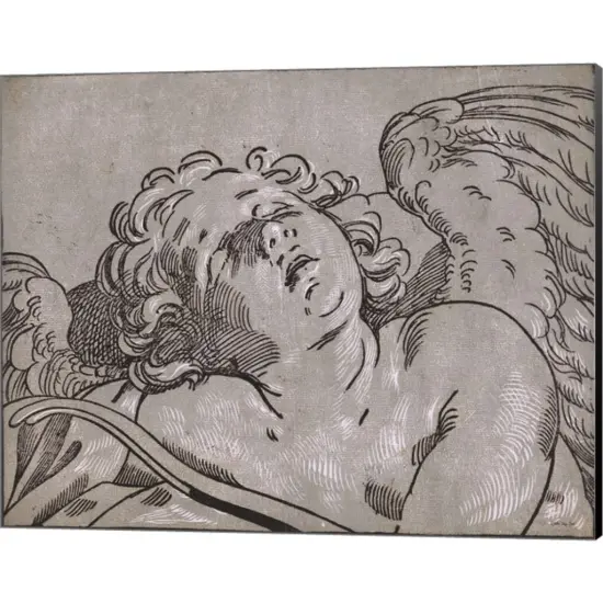 Cupid by Stellar Design Studio 20" x 16" Canvas Wall Art {1}