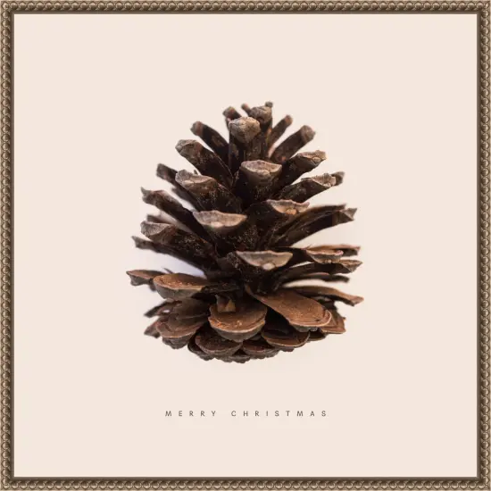 Merry Christmas NAo1 by Florent Bodart Framed Canvas Wall Art {1}