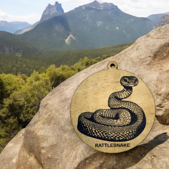 Ornament - Black - Rattlesnake - Serpentes {4}