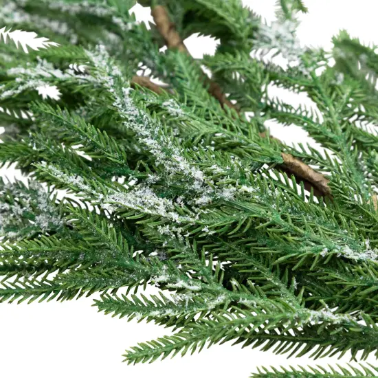 Northlight Frosted Norfolk Pine Artificial Christmas Garland - 5' - Unlit Green {7}