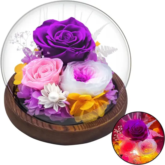 Valentines Day Gifts for Her, Real Rose Flowers Bouquet in Glass Dome with Light, Birthday Gifts for Women Wife Grandma Nana Mothers Day Anniversary, Mom Gifts from Daughter Son {1}