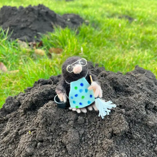 Felting Kit - Busy Mr Mole Needle Felt Kit {1}