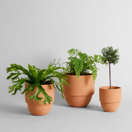 Big Cuff Planter | Size: Small by Bloomist {2}