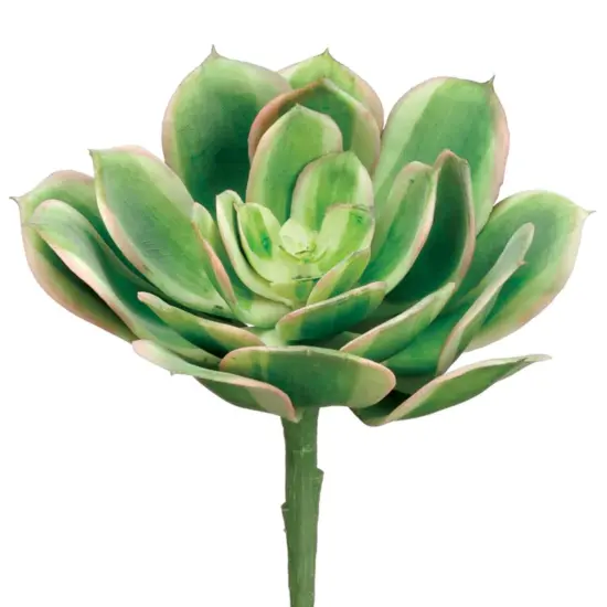 Allstate Echeveria Soft Touch Artificial Floral Pick Spray - 6" - Green and Pink {1}