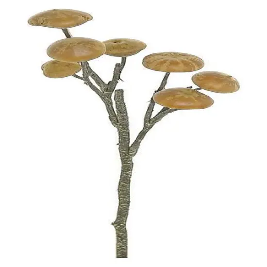 15'' Brown Ling Pod Spray - Natural Rustic Faux Floral Accent-S1340-BN {2}