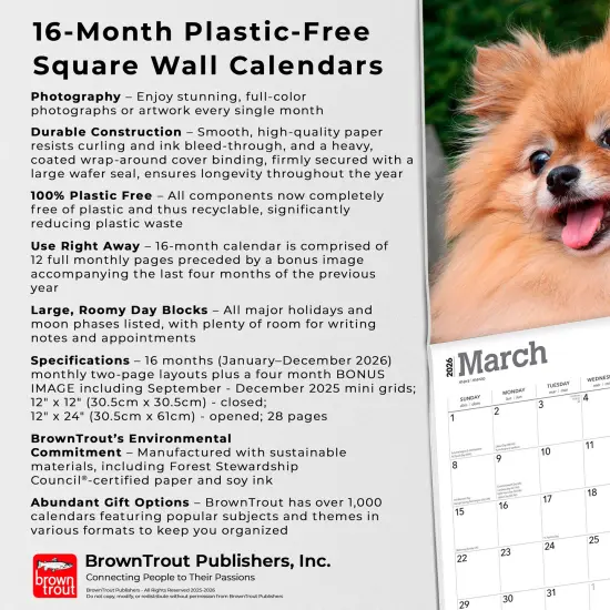 Pomeranians | 2026 12 x 24 Inch (Hanging) Monthly Square Wall Calendar | Plastic-Free {6}