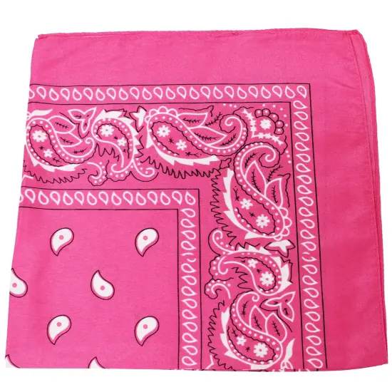 Pack of 30 Polyester 22 x 22 Inch Paisley Printed Bandanas {1}