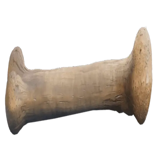 Small Dinosaur Bone Life Size Statue {4}