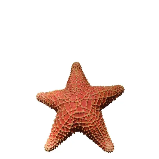 Comic Cushion Starfish Statue {1}