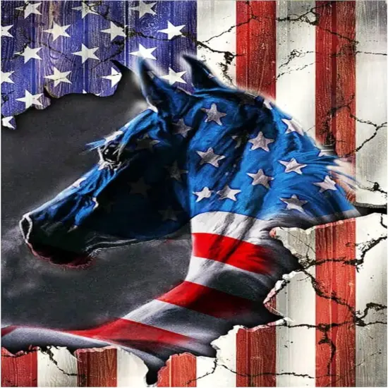 5D Diamond Painting Kits for Adults National Flag Horse DIY Round Diamond Art Kits Patriotic Animals Picture Art for Home Wall Decor {1}