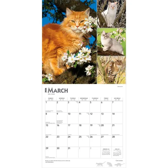 Cat Lovers | 2026 12 x 24 Inch (Hanging) Monthly Square Wall Calendar | Foil Stamped Cover | Plastic-Free {3}