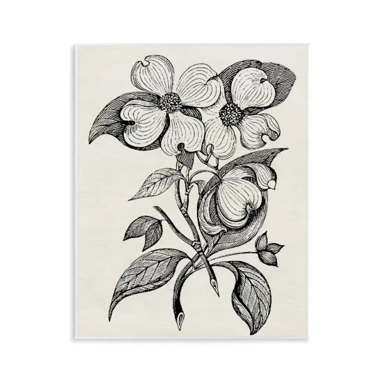 Stupell Industries Classic Cut of Dogwood Wall Plaque, design by Karen Smith {1}