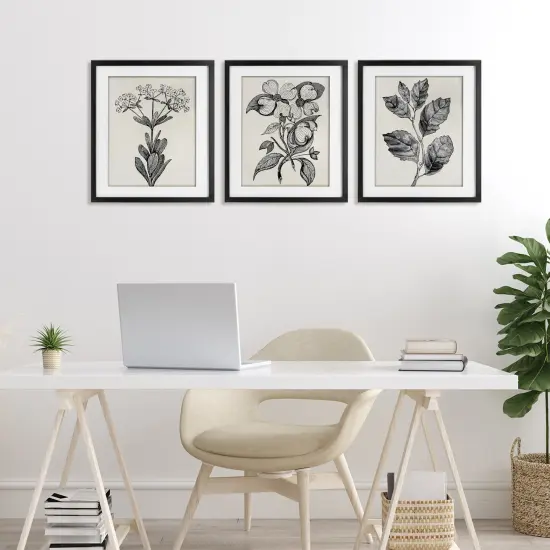 Stupell Industries Classic Natural Botanicals 3pc Framed Print Under Glass Set, design by Karen Smith {2}