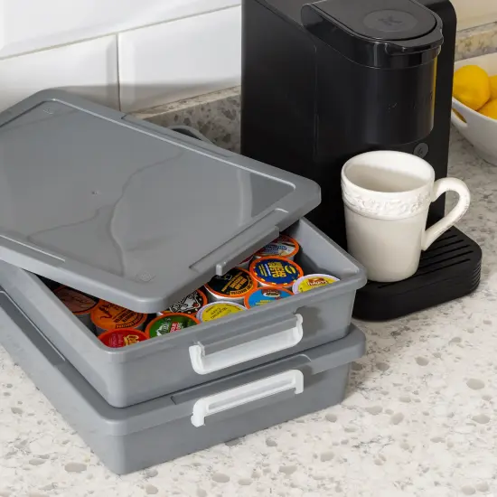 IRIS USA 6 Qt. Plastic Storage Bins with Lids, 2 Pack, Flat Storage Container, Secure Latches, Stackable, Gray {4}