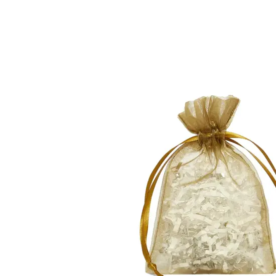 4&rdquo; x 6&rdquo; Organza Bags Elegant Favors for Any Event {5}