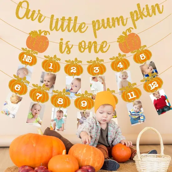 Fall Pumpkin 1st Birthday Photo Banner - Autumn Milestone Photograph Bunting {5}