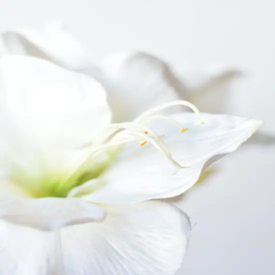 29" Faux White Amaryllis Stem {4}