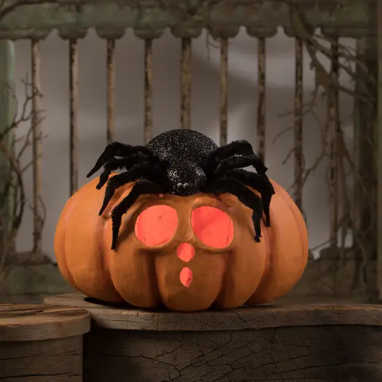 Spider on Pumpkin JOL 12.5" {5}