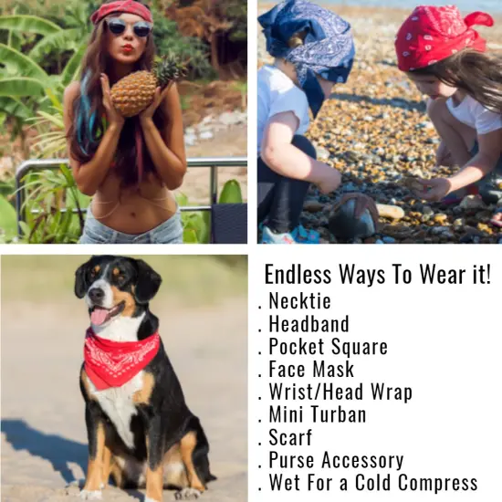 Mechaly Paisley 100% Cotton Bandanas {5}