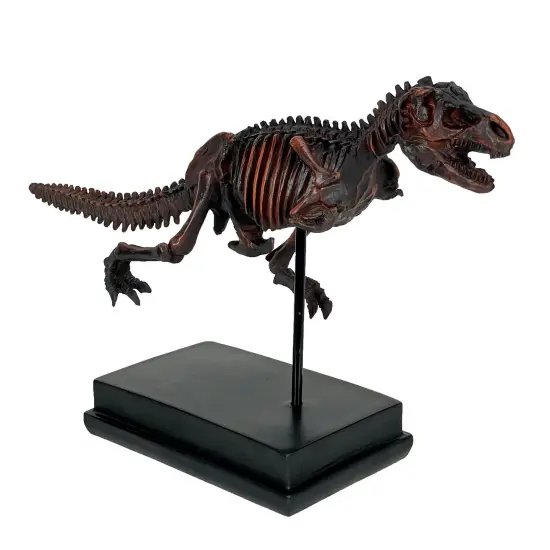 Tyrannosaurus Rex Skeleton Statue T-Rex on Museum Mount {3}