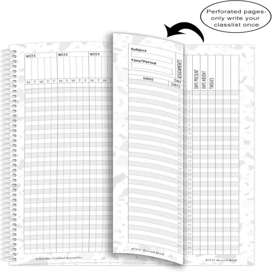 Terrazzo Tones Teachers Record Book {3}