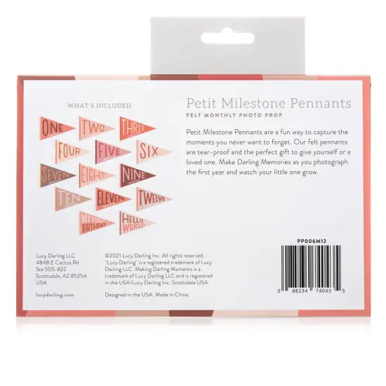 BLUSHING MEADOW PETIT MILESTONE PENNANT {2}