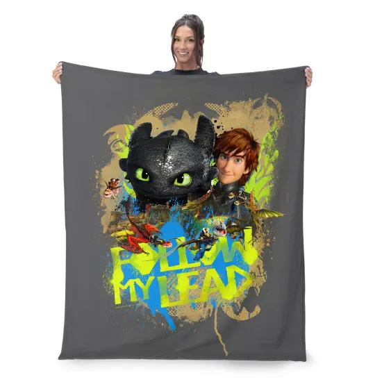 Universal How to Train Your Dragon Silk Touch Throw Blanket Follow My Lead {2}
