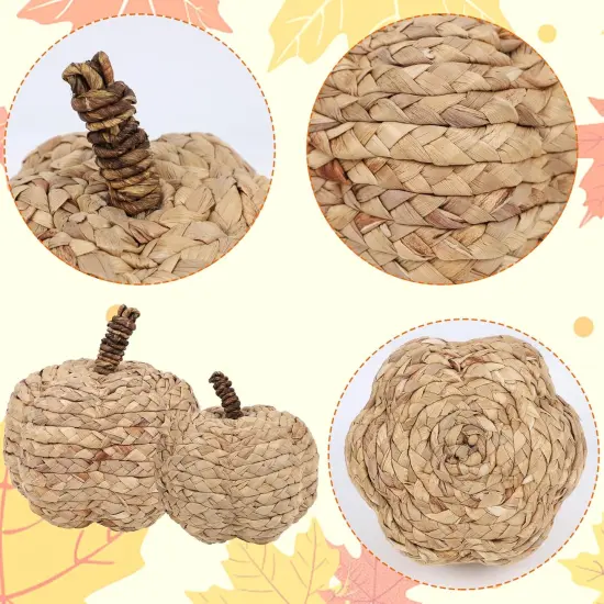 2 Pack Pumpkin Fall Decor - (Beige) {5}