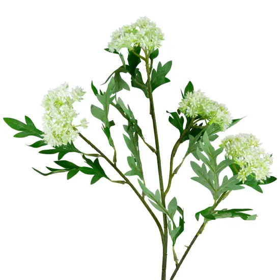 Northlight Finch Laceflower Artificial Floral Sprays- 27" - White and Green - Set of 6 {5}