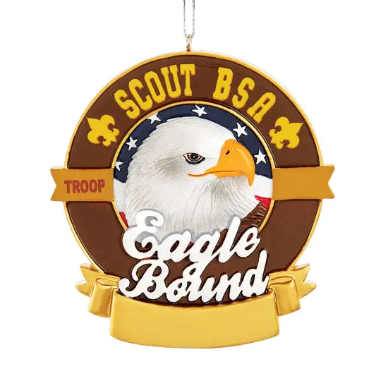 Collections Etc Eagle Bound Boy Scouts of America Christmas Ornament {2}
