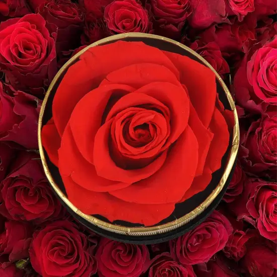 Preserved Fresh Forever Flowers Gift for Her {2}