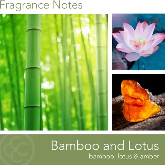 Bamboo Lotus Scented Jar Candle, Wellness Collection, Relaxing Aromatherapy Candle, 2 Wick White Jar Soy Blend Wax Candle for Home, 60hr Burn, 16 oz - USA Poured {2}