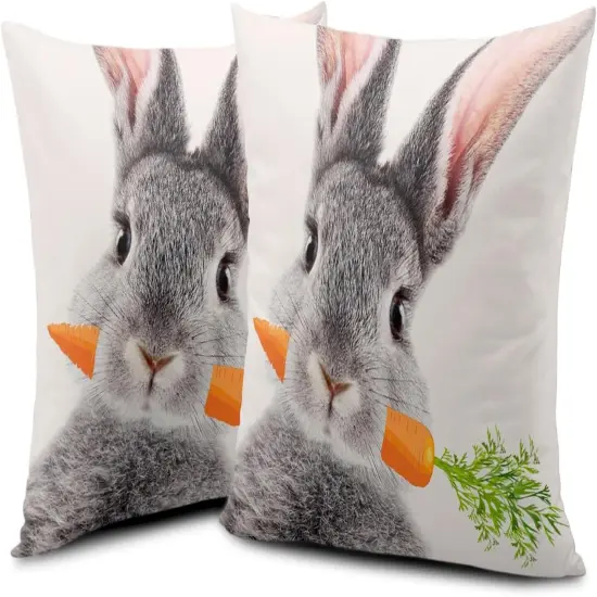 Cute Rabbit Pillow Covers 18x18 Set of 2 Lovely Bunny Eating Carrots Pillow Covers Easter Throw Pillows {2}