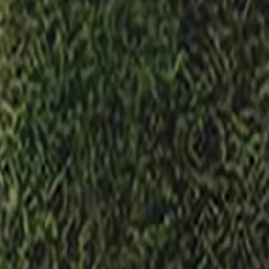 Quality Growers Preserved Sheet Moss-112.5 Cubic Inches {3}